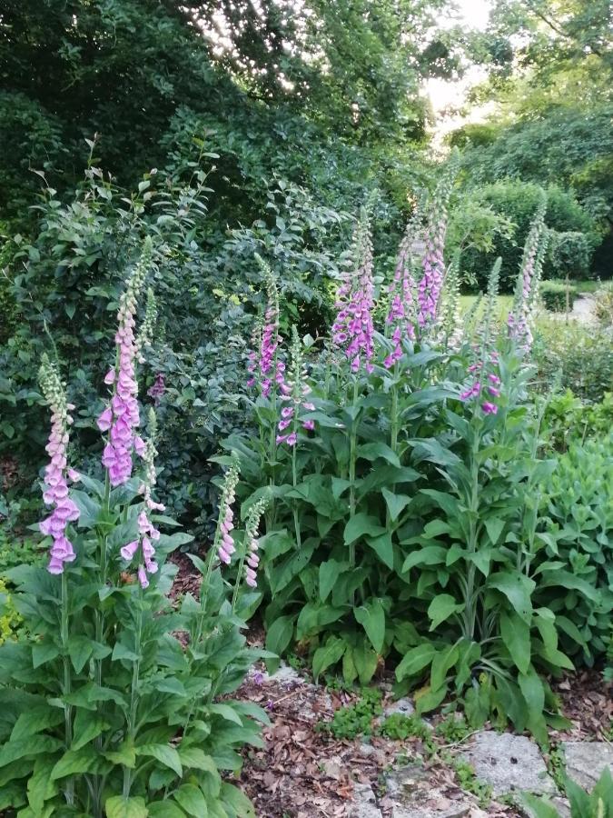 Chambre E Andre Le Domaine Des Jardins De Bracquetuit エクステリア 写真