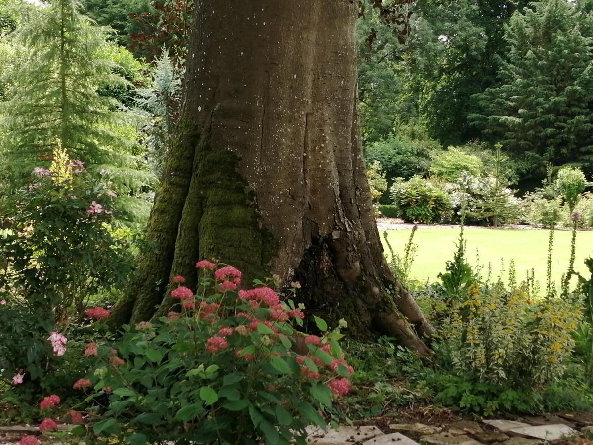 Chambre E Andre Le Domaine Des Jardins De Bracquetuit エクステリア 写真