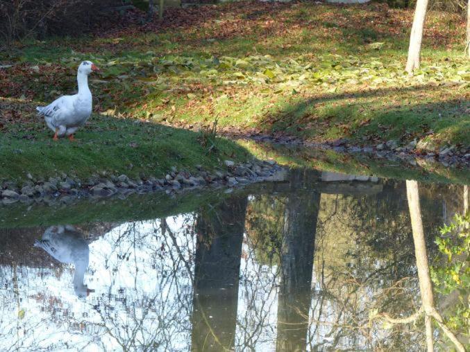 Chambre E Andre Le Domaine Des Jardins De Bracquetuit エクステリア 写真