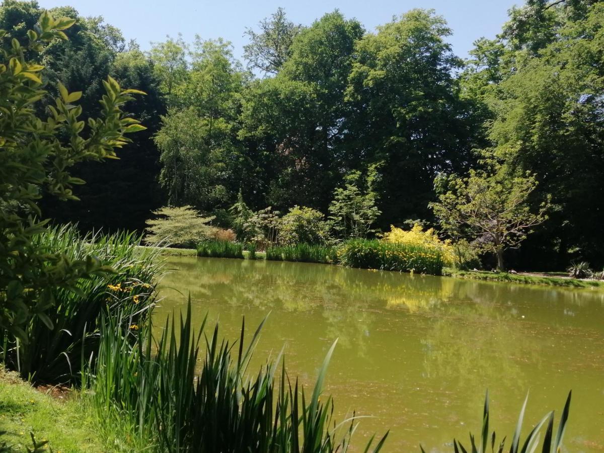 Chambre E Andre Le Domaine Des Jardins De Bracquetuit エクステリア 写真